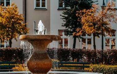 jesień (15)