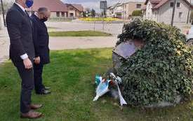  Dzień Zwycięstwa  (16)