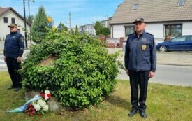 Narodowy Dzień Zwycięstwa  (15)