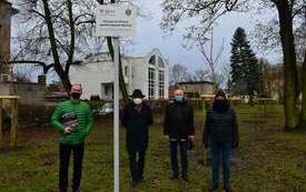 100 drzew na 100-lecie powrotu Kępna do Macierzy (5)