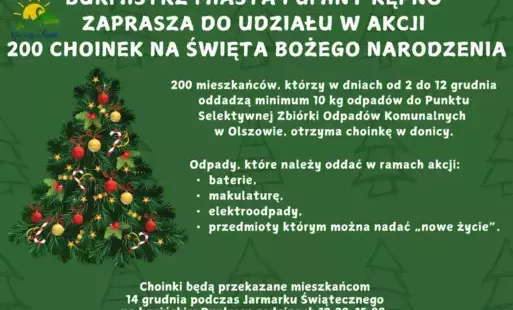Zdjęcie do 200 choinek na Święta Bożego Narodzenia