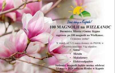 Zdjęcie do 100 MAGNOLII na WIELKANOC