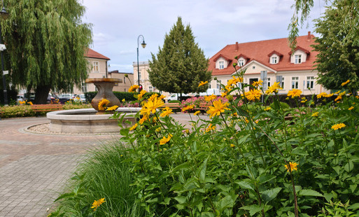 Kwitnące skwerki